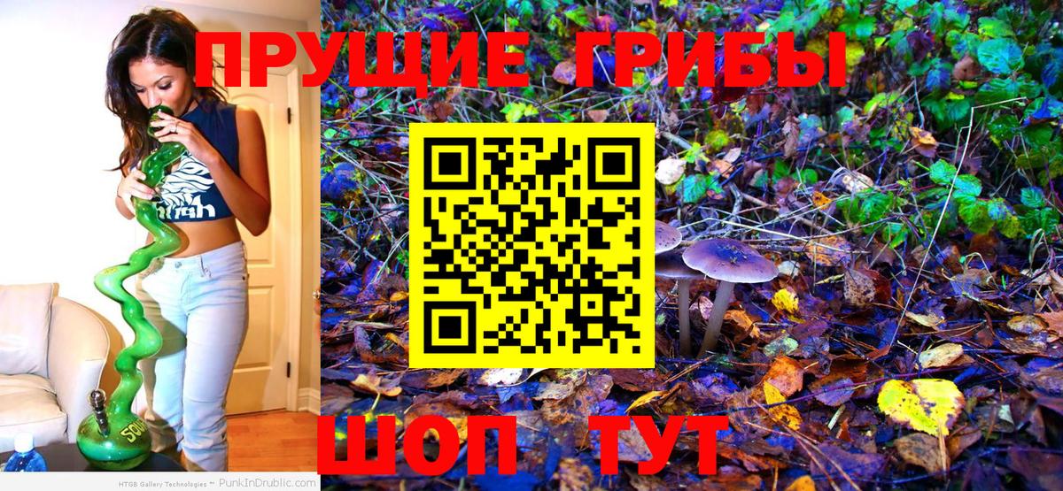 Псилоцибиновые грибы мухоморы Октябрьский